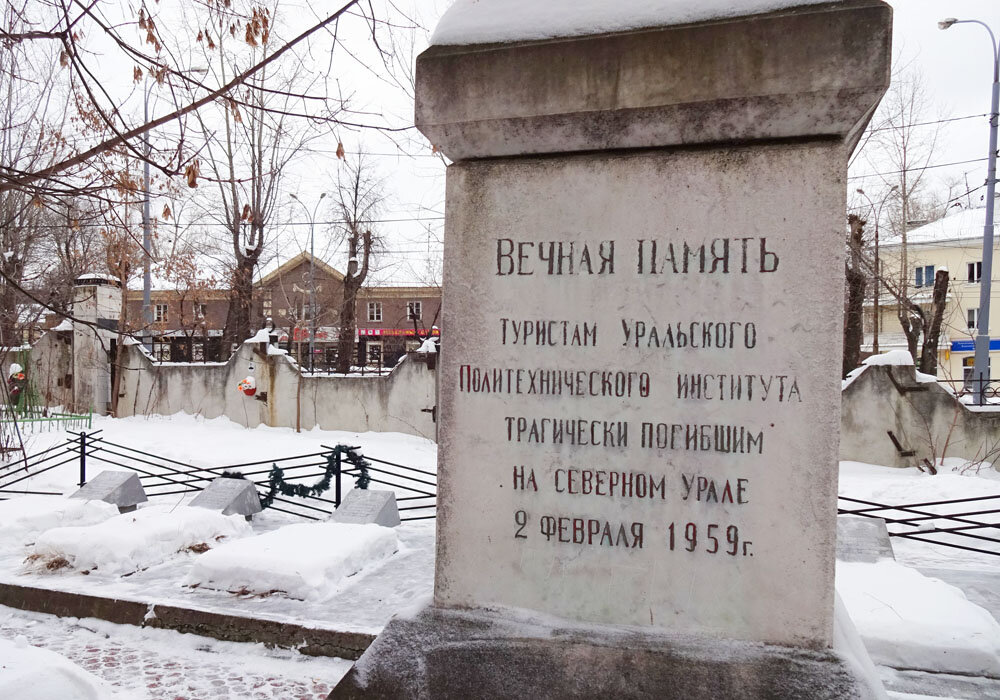 Шмель пасётся на цветах лука. Загородный дом