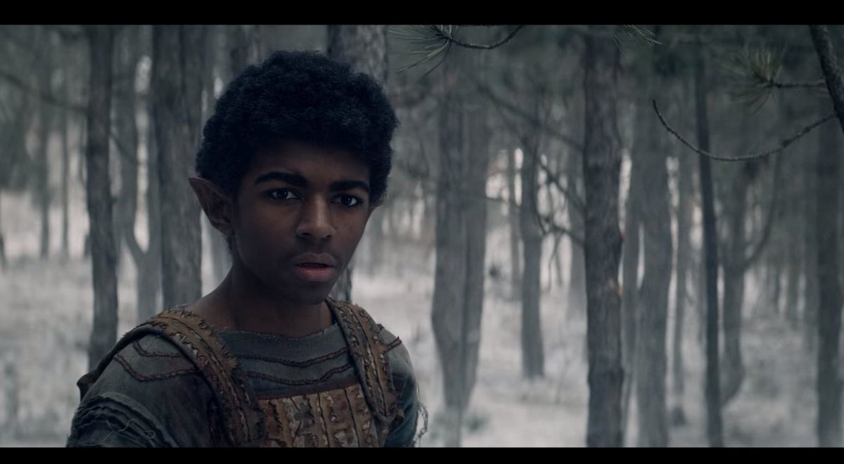 Чтобы по-настоящему хорошо сыграть удивление, Уилсону Раджу-Пухальте нужно было просто сделать то же лицо, что и в момент, когда он узнал, что будет играть эльфа. Кадр из сериала Netflix "Ведьмак".