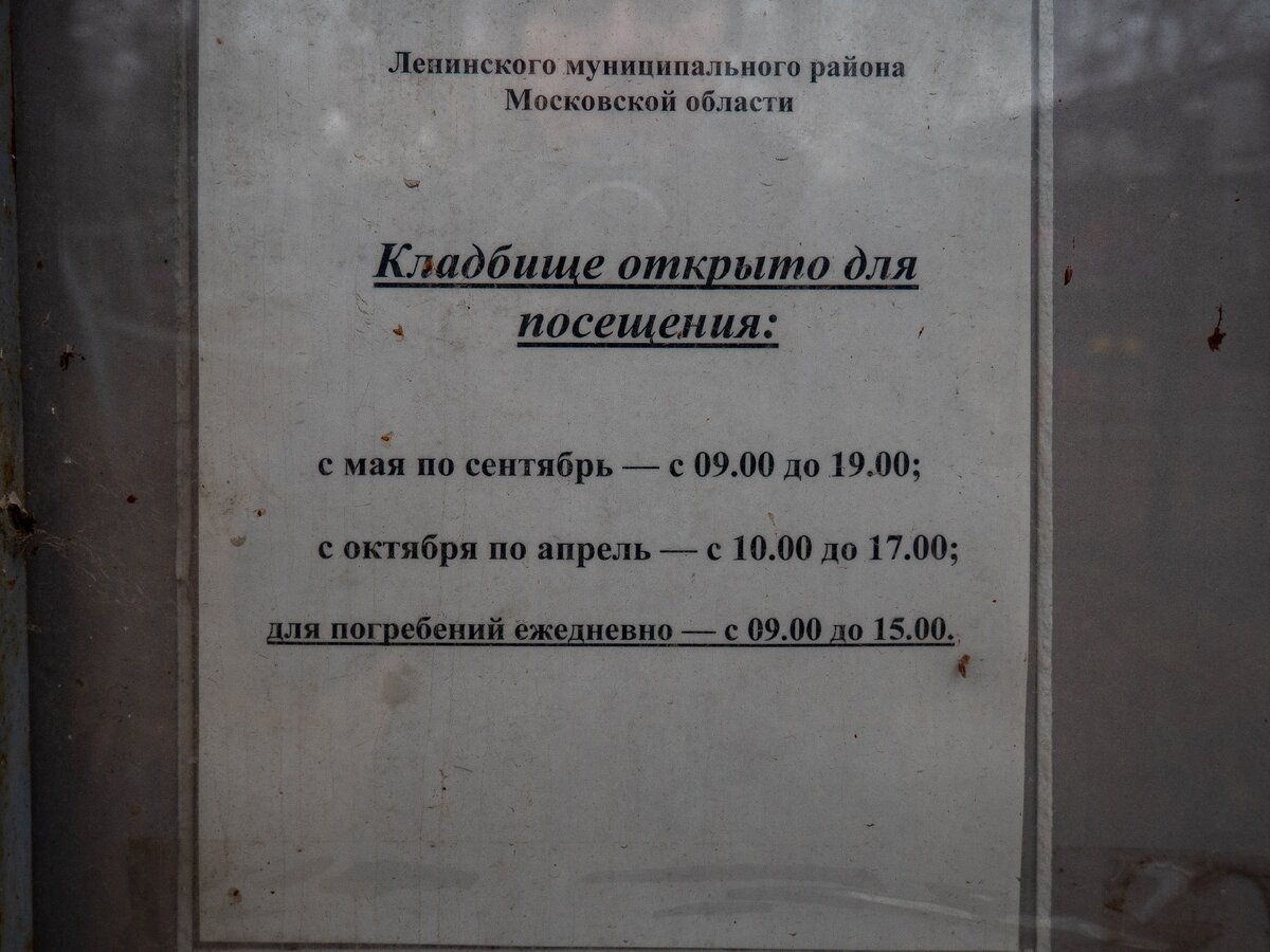 Беседовское кладбище в 300 метрах от МКАД | Сергей Макаров | Дзен