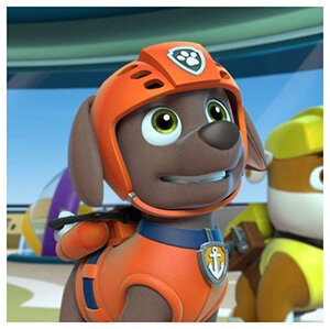 Его любимым цветом, который он просто обожает, является оранжевый. Поэтому Зума, когда выходит на задание, одевает красивую каску, жилетку и ранец, которые имеют приятный оранжевый оттенок. А еще на шейке этого героя красуется великолепный ошейник синего цвета, на котором имеется значок. На этом значке изображен блестящий якорь, как знак того, что данный герой просто обожает воду. Но стоит отметить, что это не просто обычное украшение, хоть оно так на него и похоже. При помощи этого значка щенок оказавшись в очень трудном положении, сможет в любой момент, связаться с другими членами команды.
