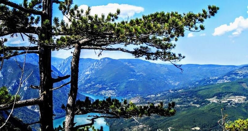 Национальный парк Тара