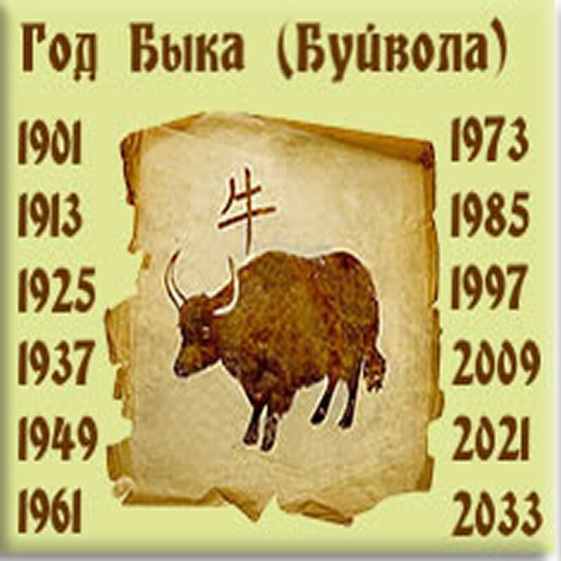 Зодиак  Бык.
