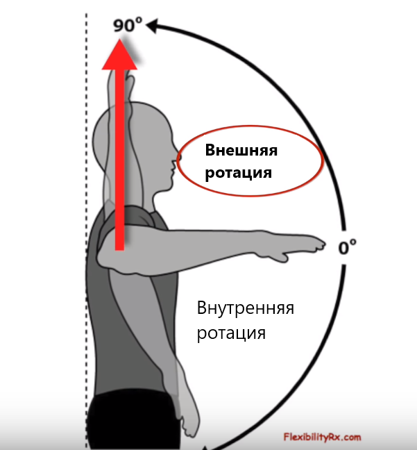 Плечо понять. Наружная и внутренняя ротация плеча. Ротация плечевого сустава. Внутренняя ротация плеча. Внутренняя ротация плечевого сустава.