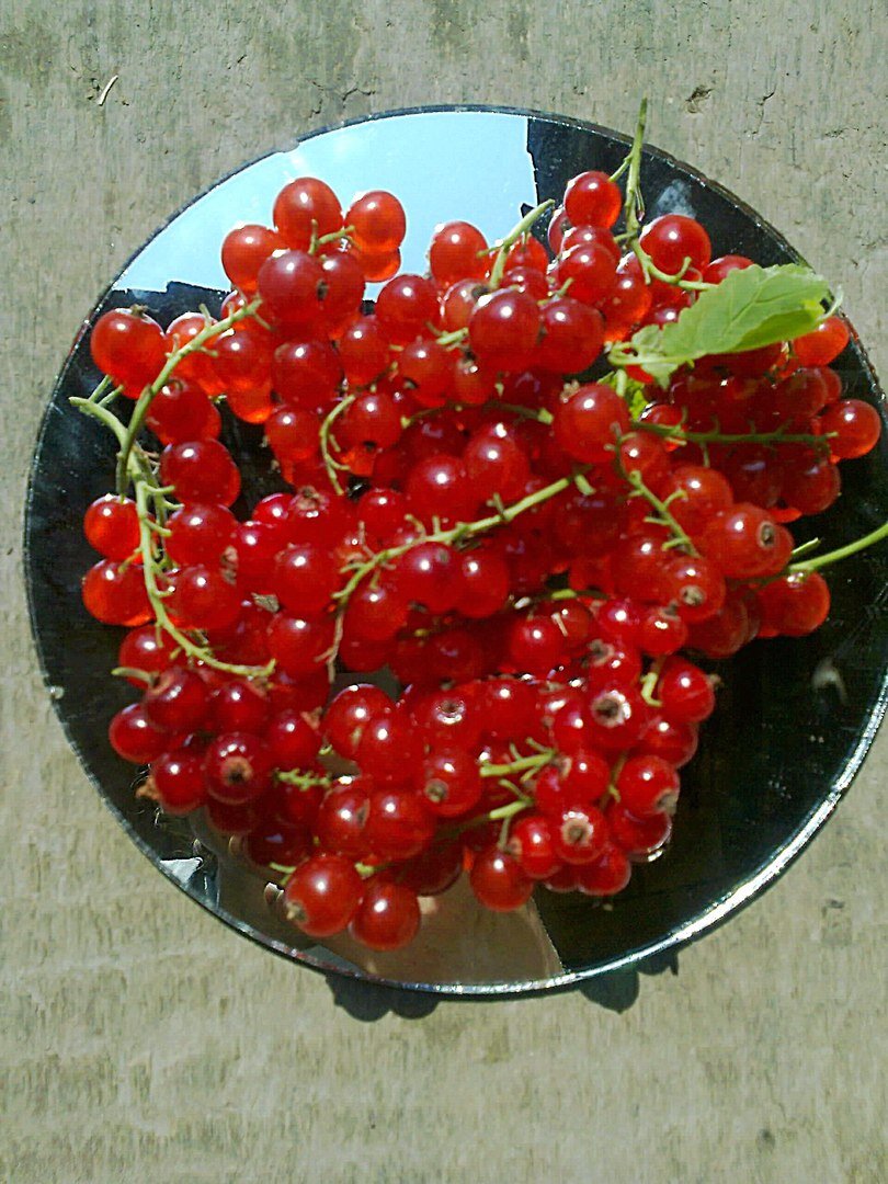 Смородина красная