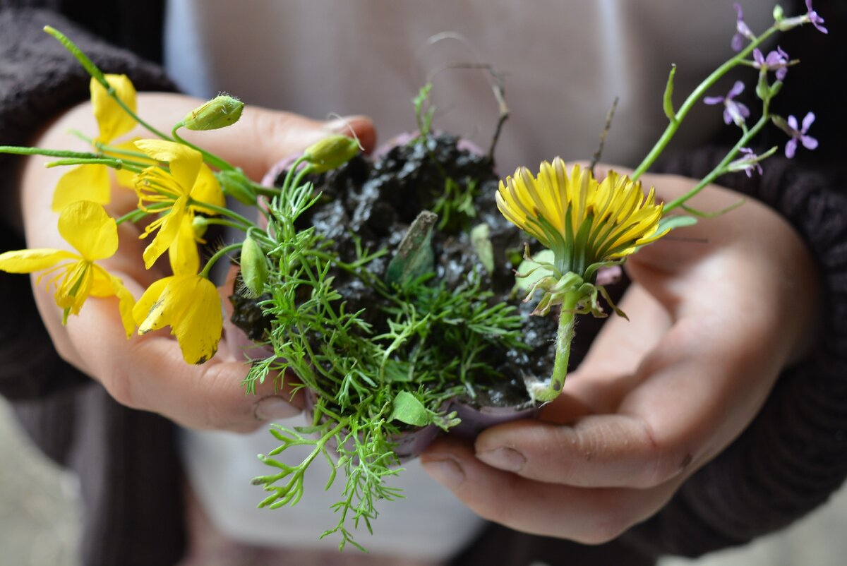 в первую весну в деревне дочка знакомится с местной флорой