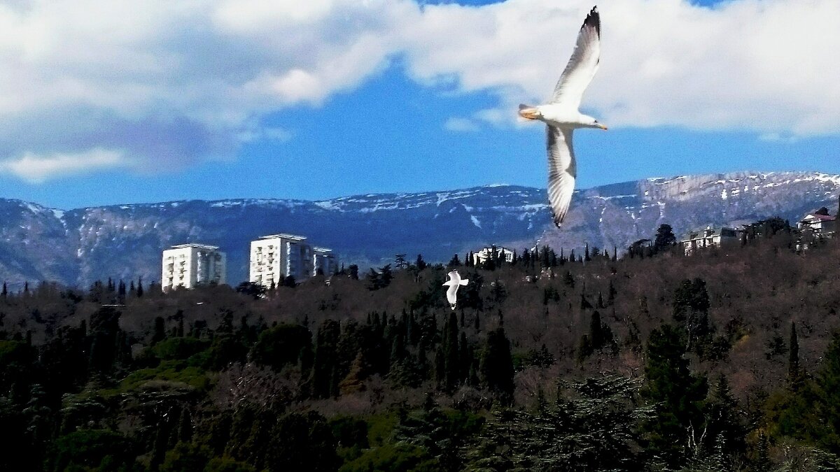   В чем уникальность Крыма?