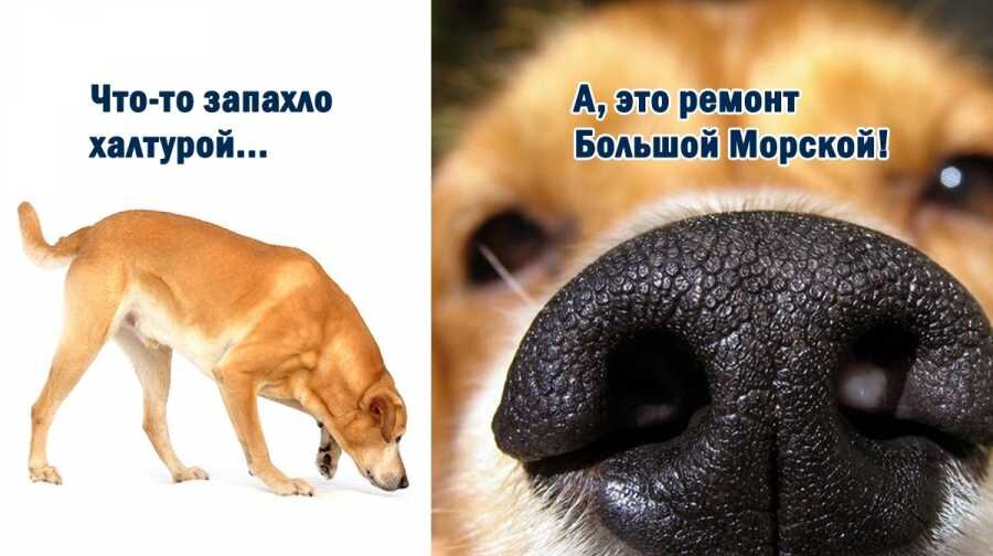               Фото: Коллаж ForPost