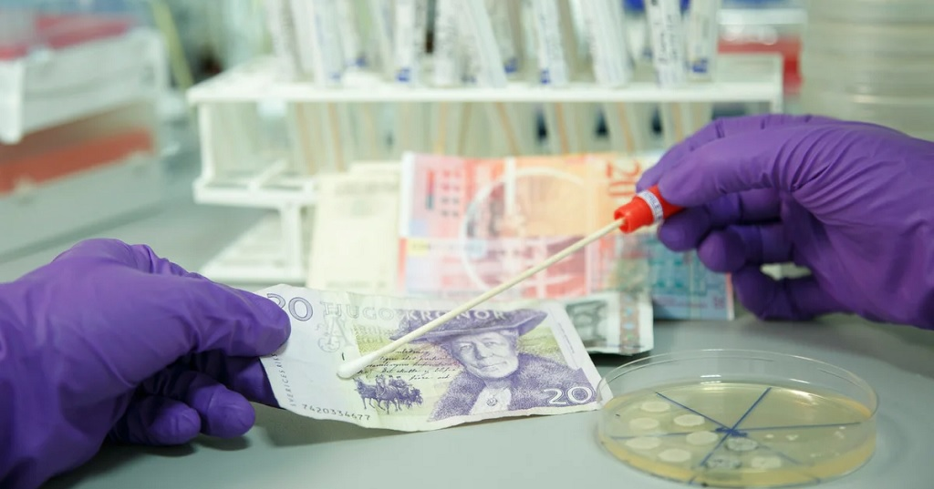 Взято с источника https://psm7.com