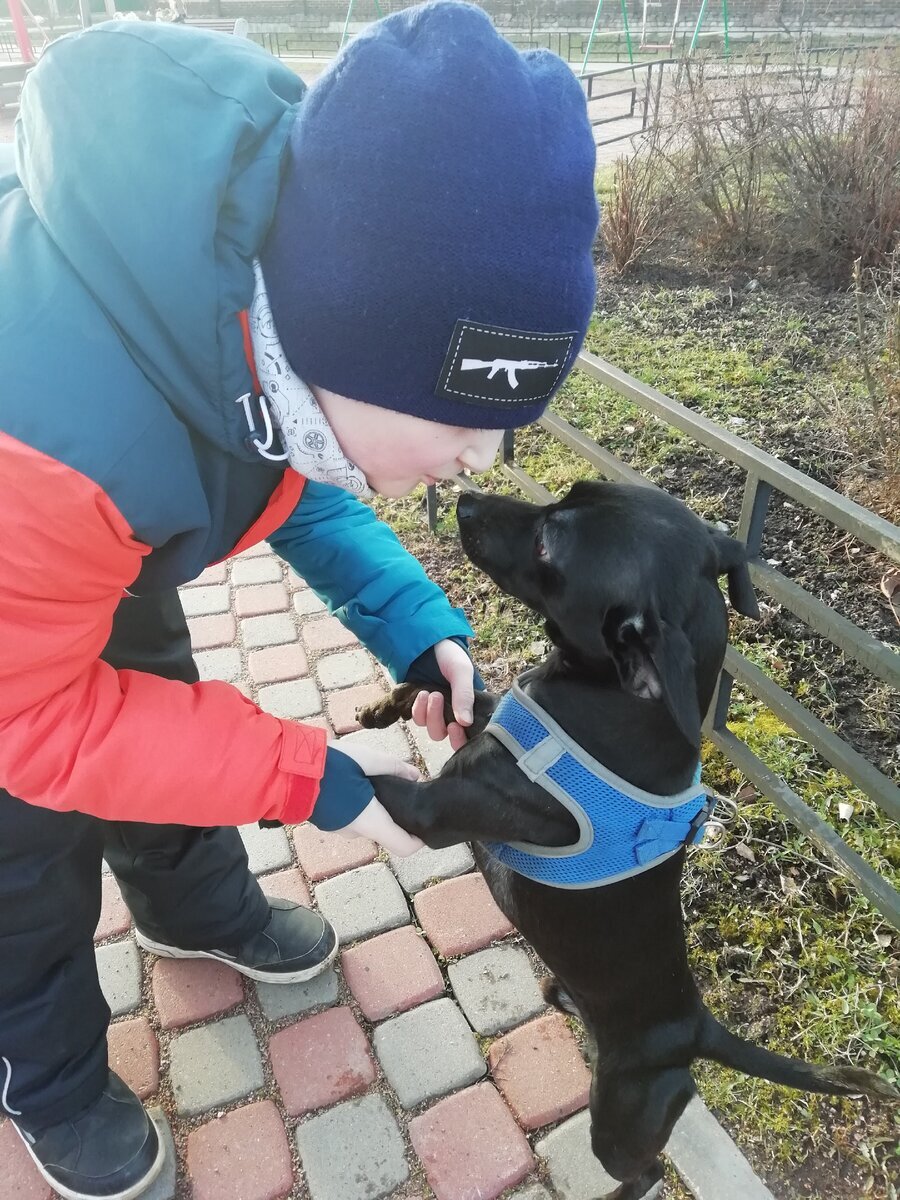 близость с природой, забота о других важнее обычной школы