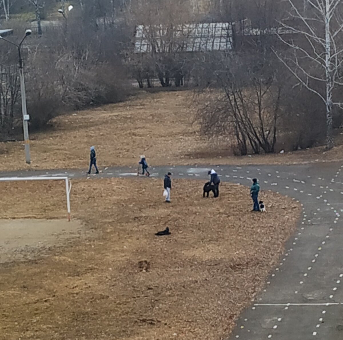 Фото моё личное. Солнышко пригрело-все на стадион...в карантин!