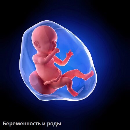 Что происходит на 40-й неделе беременности