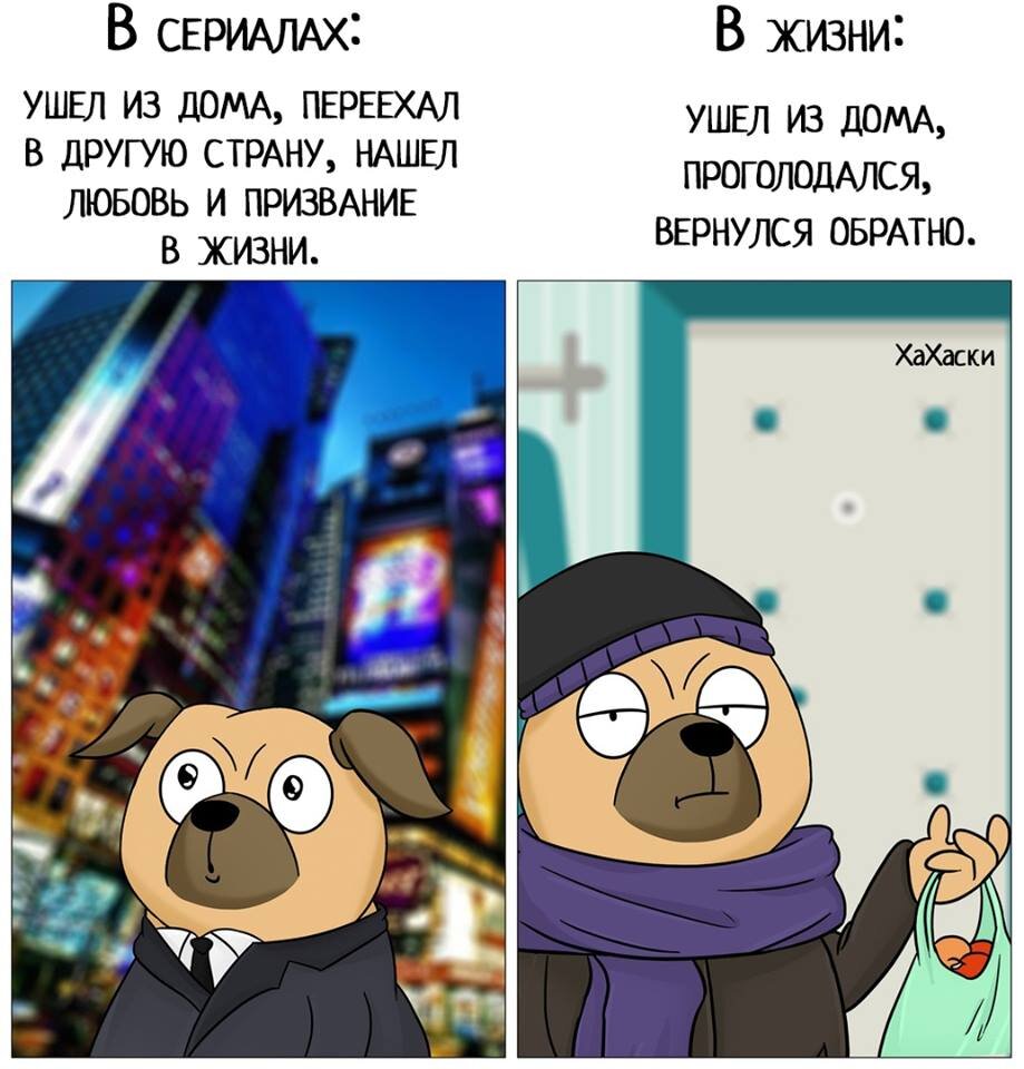 Ожидание и рельность.