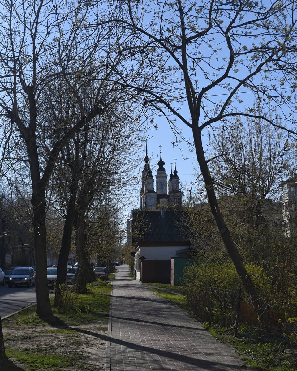 Весна окончательно и бесповоротно вошла в нашу жизнь.