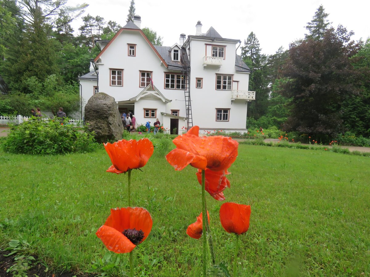  усадьба Поленово, Тульская область.  Июнь 2018г. Путешествуем с Верой г. Орел