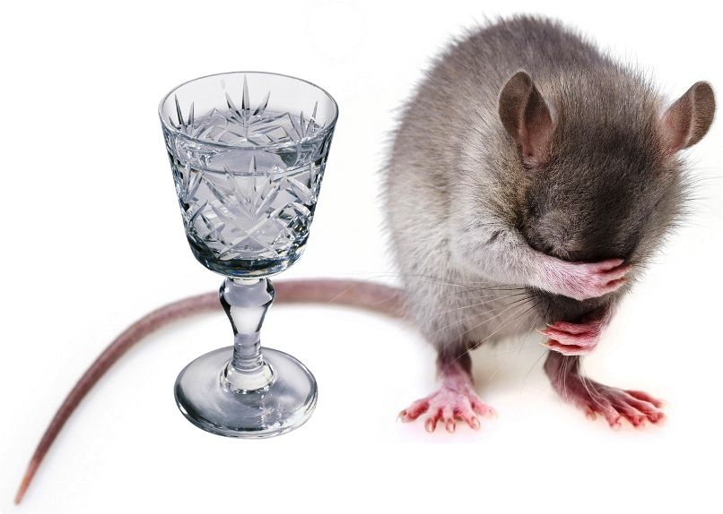 Лечение подействовало