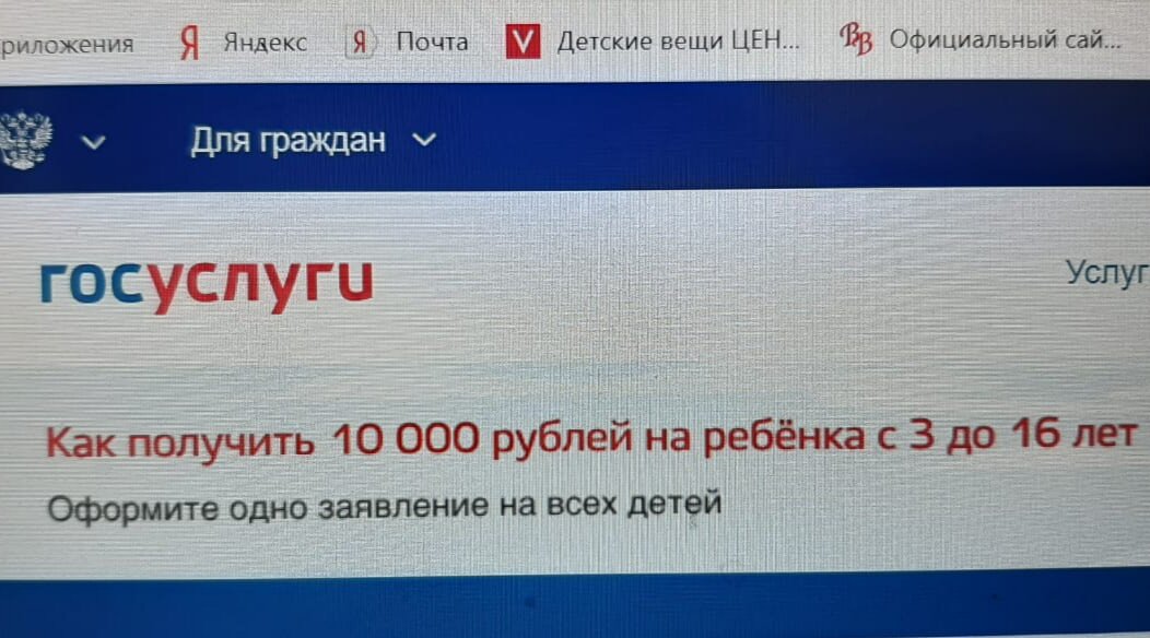 В связи с вынужденной самоизоляцией правительство выделило деньги на поддержку семей с детьми.