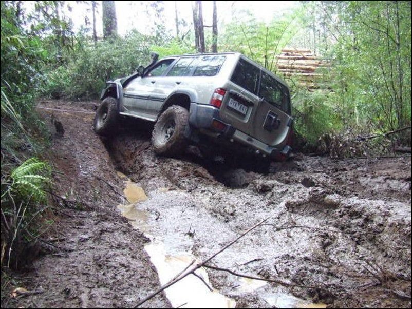 фото с открытого доступа.