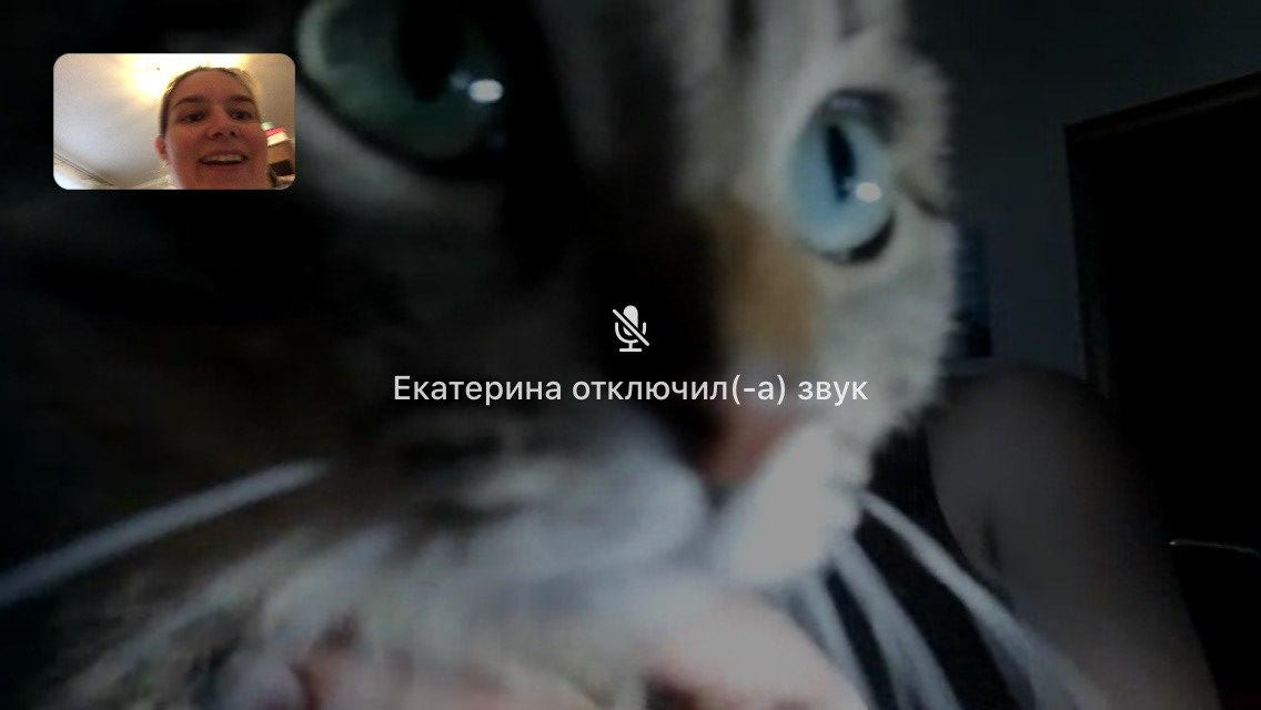 Вот такая вот "Екатерина" )))