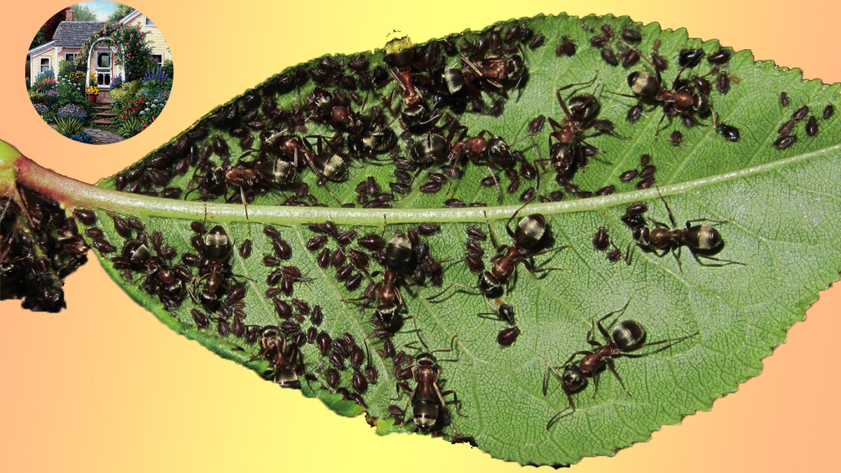 Подписывайтесь на канал, ставьте лайк! Вы поможете развитию канала! 