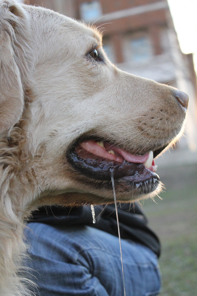 Слюююююни!!!!!