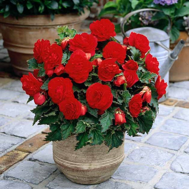 Фото взято из свободного доступа сети интернет