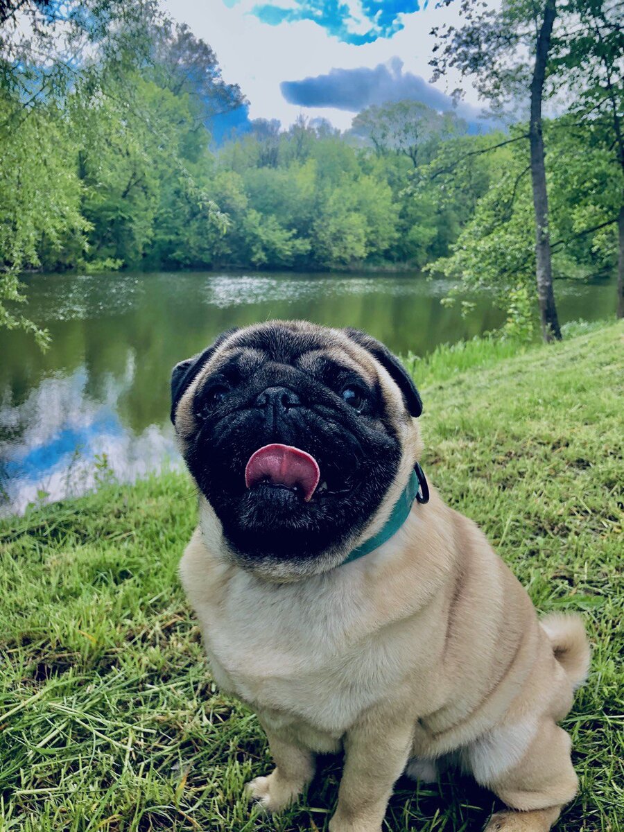 Присели отдохнуть 