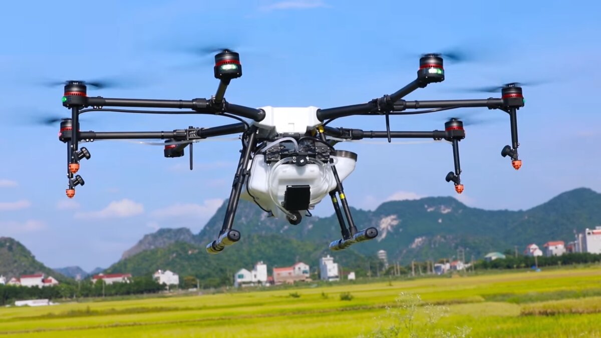 Фото взято из открытых источников