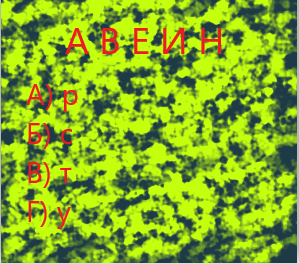 Изображение создано автором канала