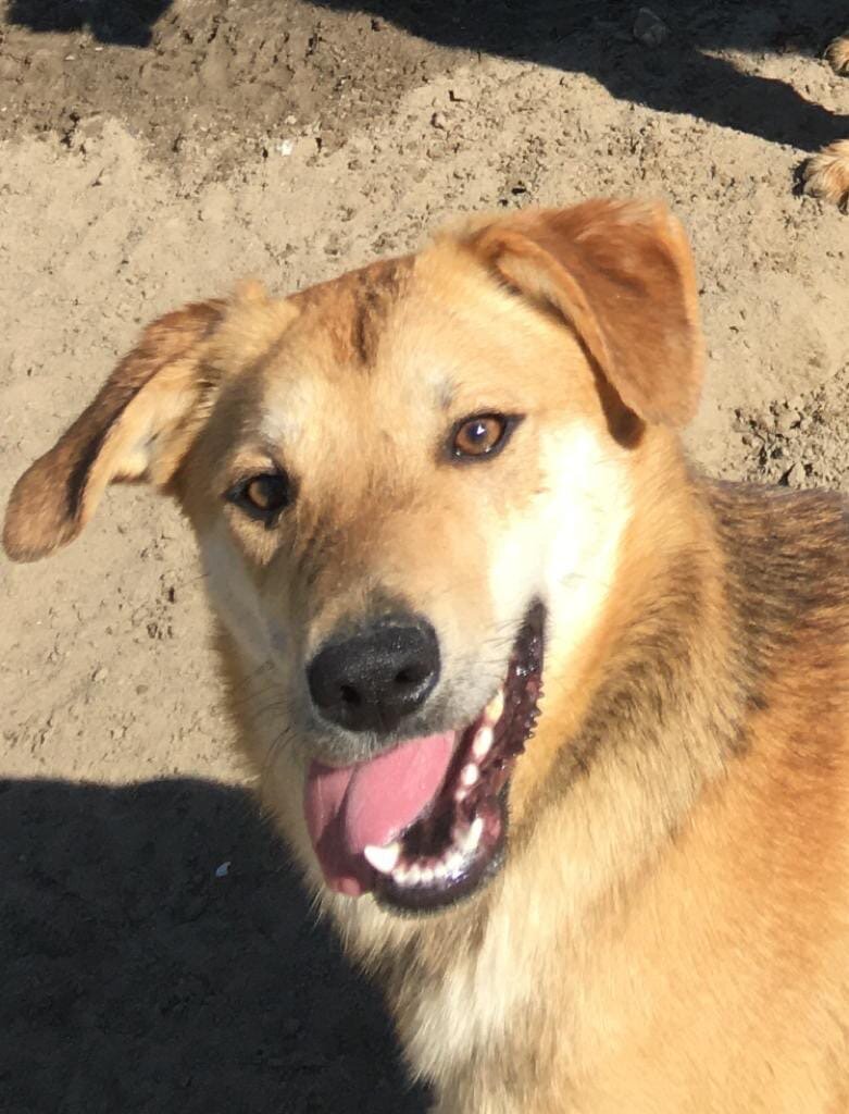 Знаменитая улыбка