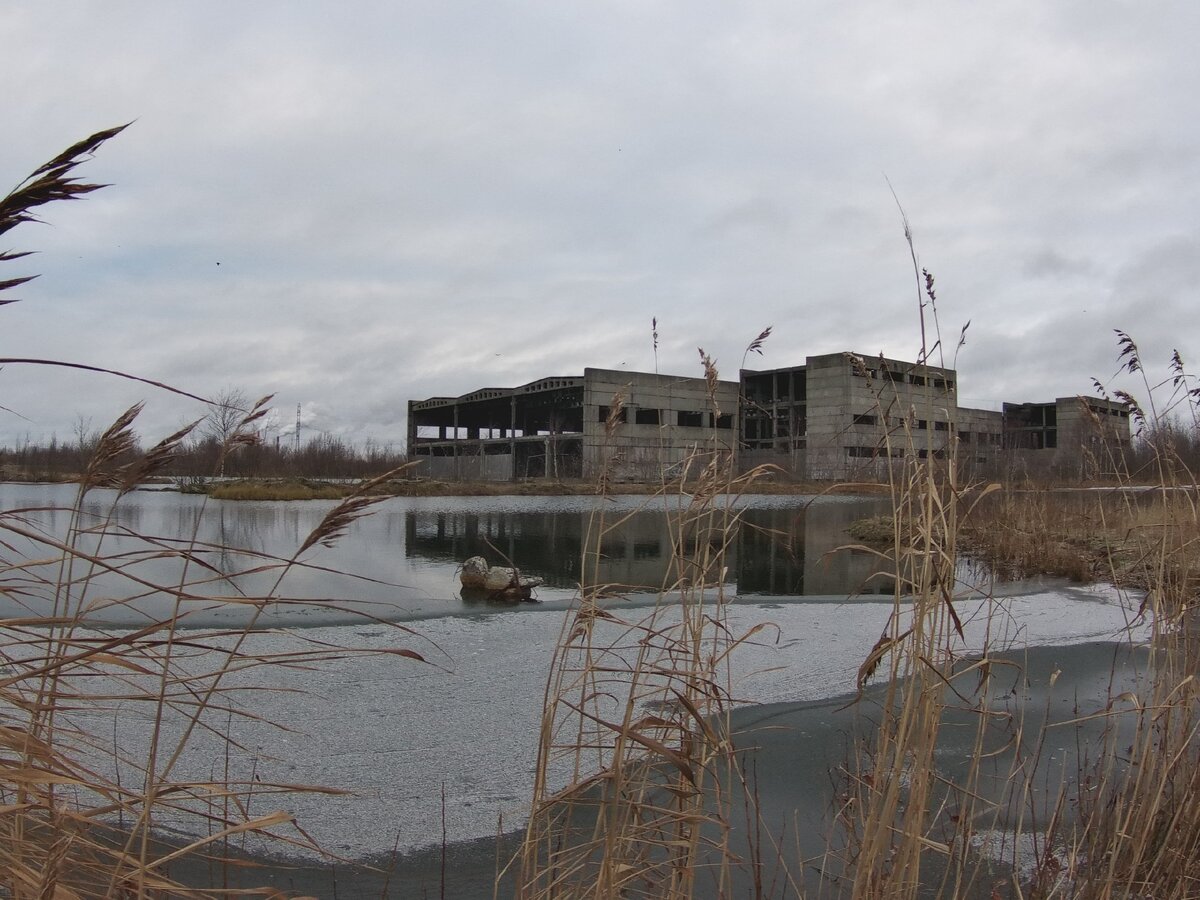 Все фото автора