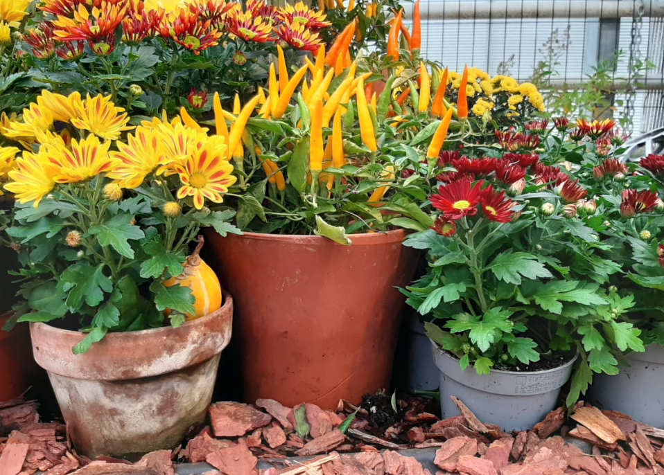 Фото иллюстративного характера.