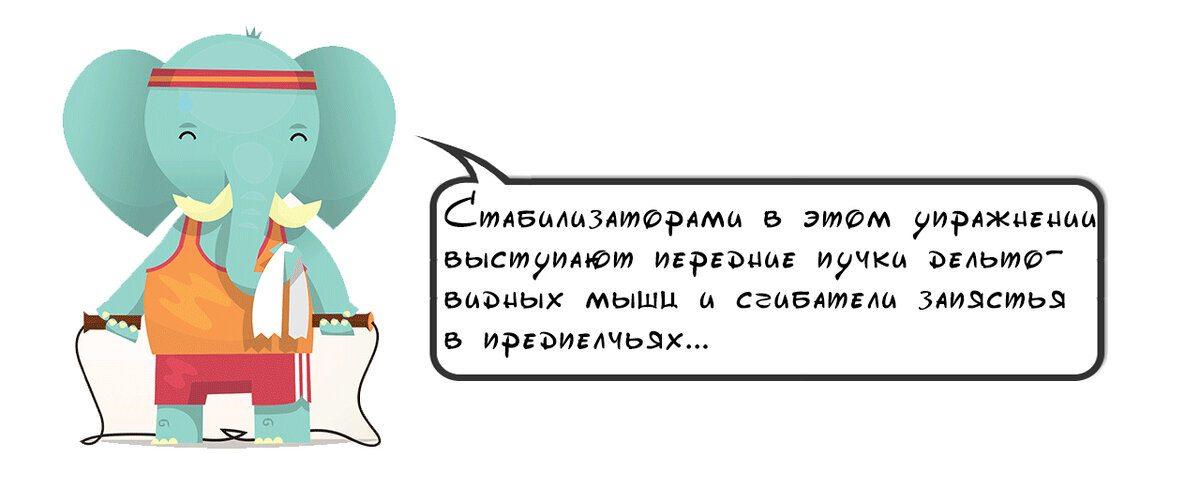 Какие вспомогательные мышечные группы работают?