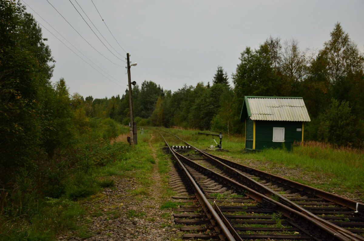 Селижарово тверская область прогноз погоды. Селижарово. Селижарово Ржев.