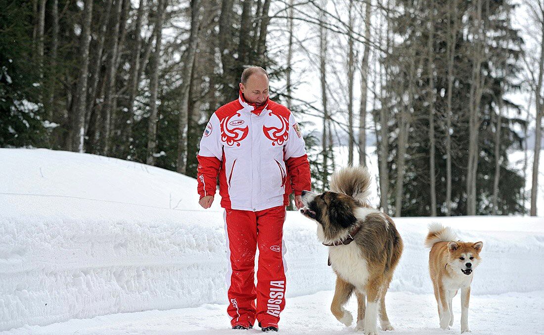 Фото из сети интернет