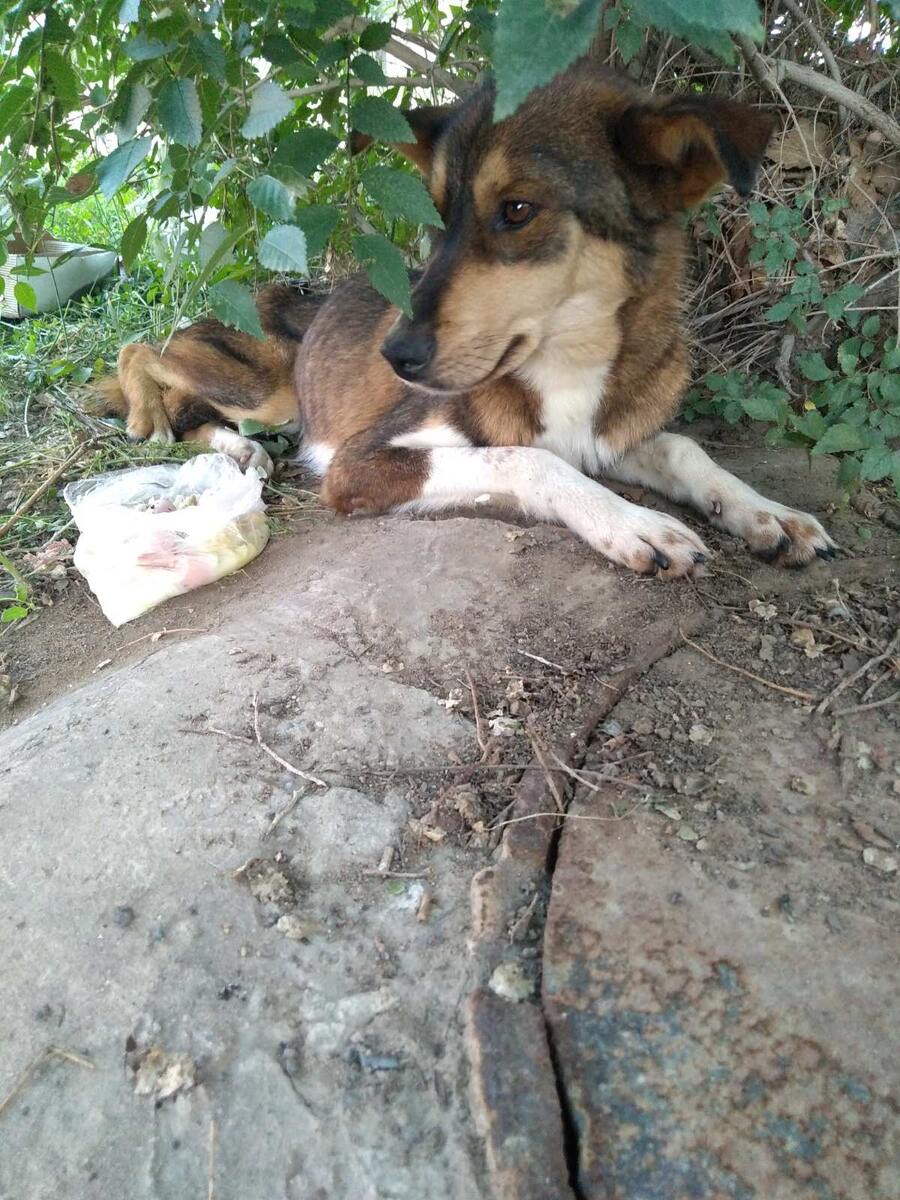 Найда в тот момент когда ее наши в Гусиноозерске.