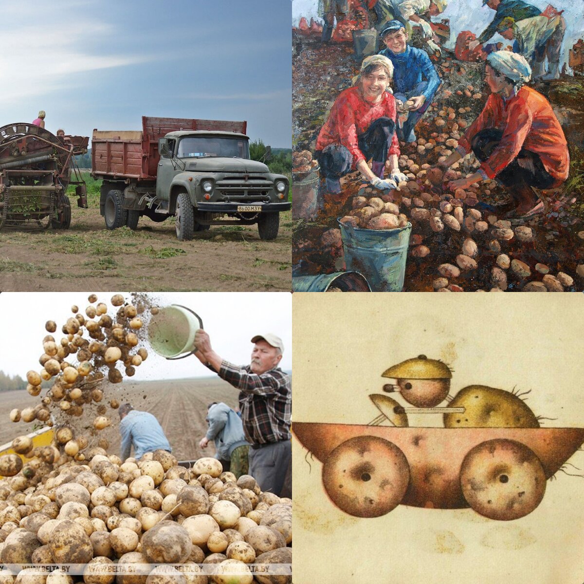 Коллаж для примера, фото из свободных источников.