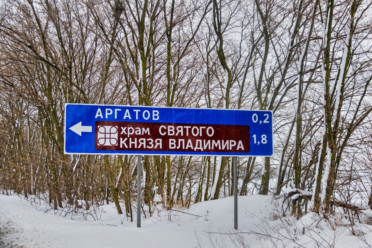 В хуторе Аргатов покупала эко-продукты. От местных жителей узнала кто  превратил его улицы в сосновые рощи | Южная жизнь | Дзен