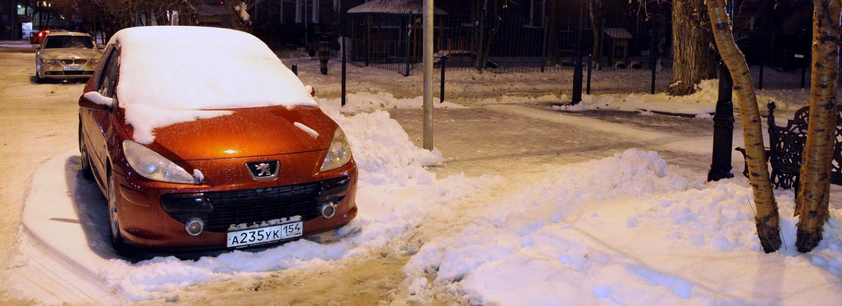 Фото: Павел Комаров, nsknews.info