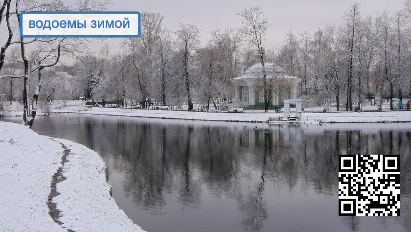 Отправимся в виртуальное образовательное путешествие?