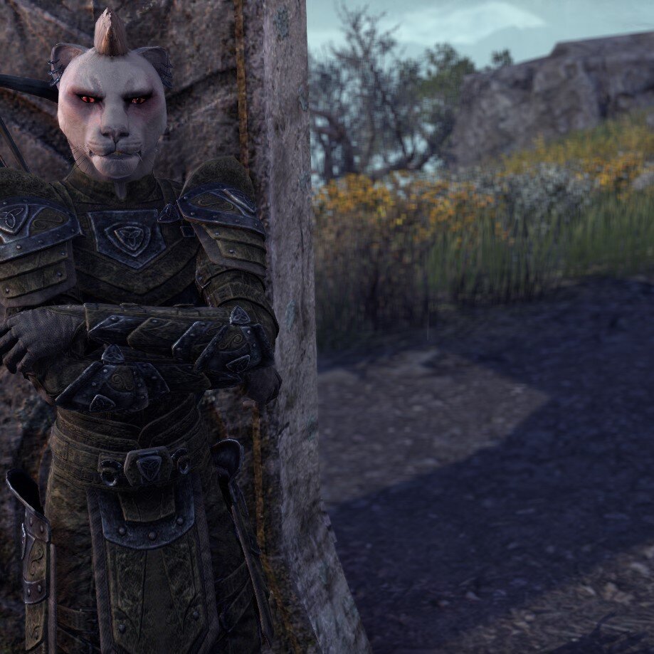 Карта в галерее