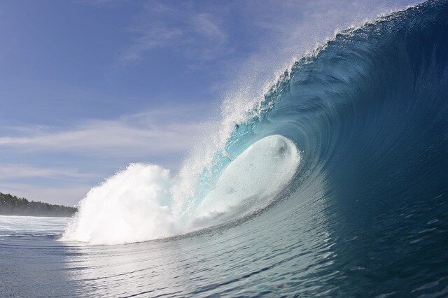 Фото: pixabay.com