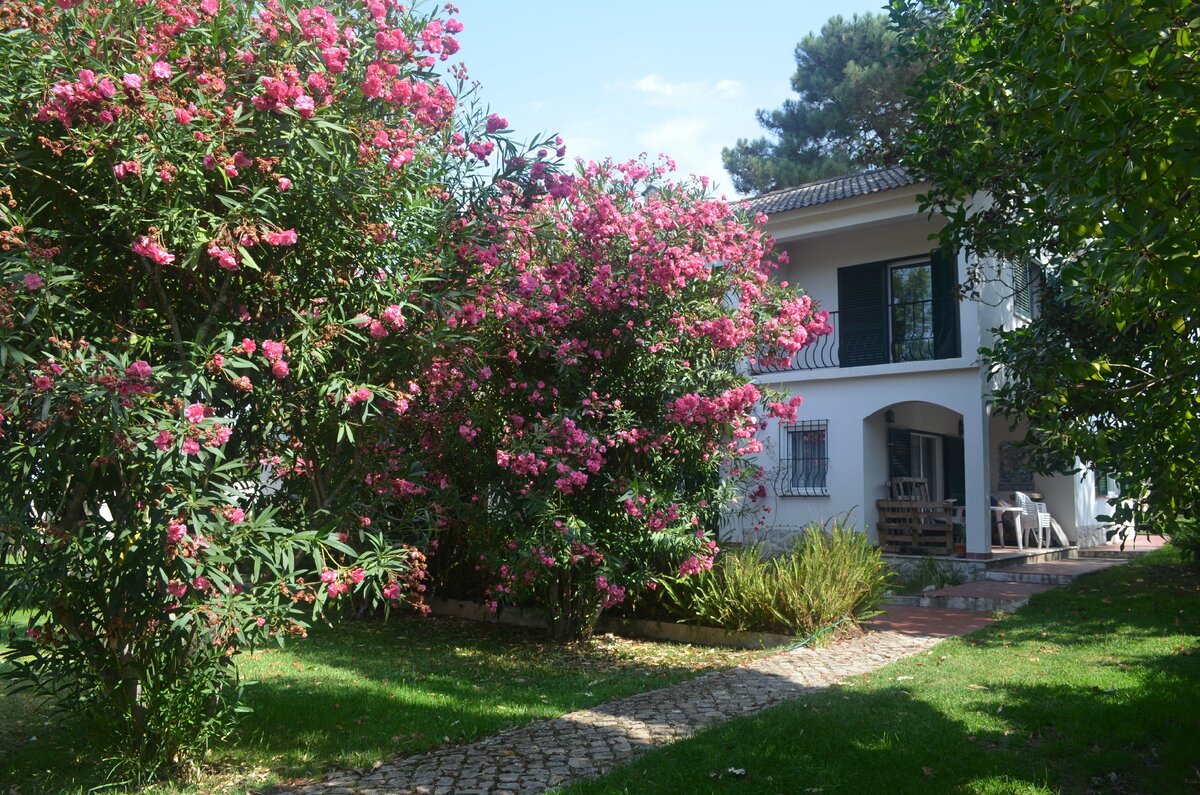 Дом наших друзей