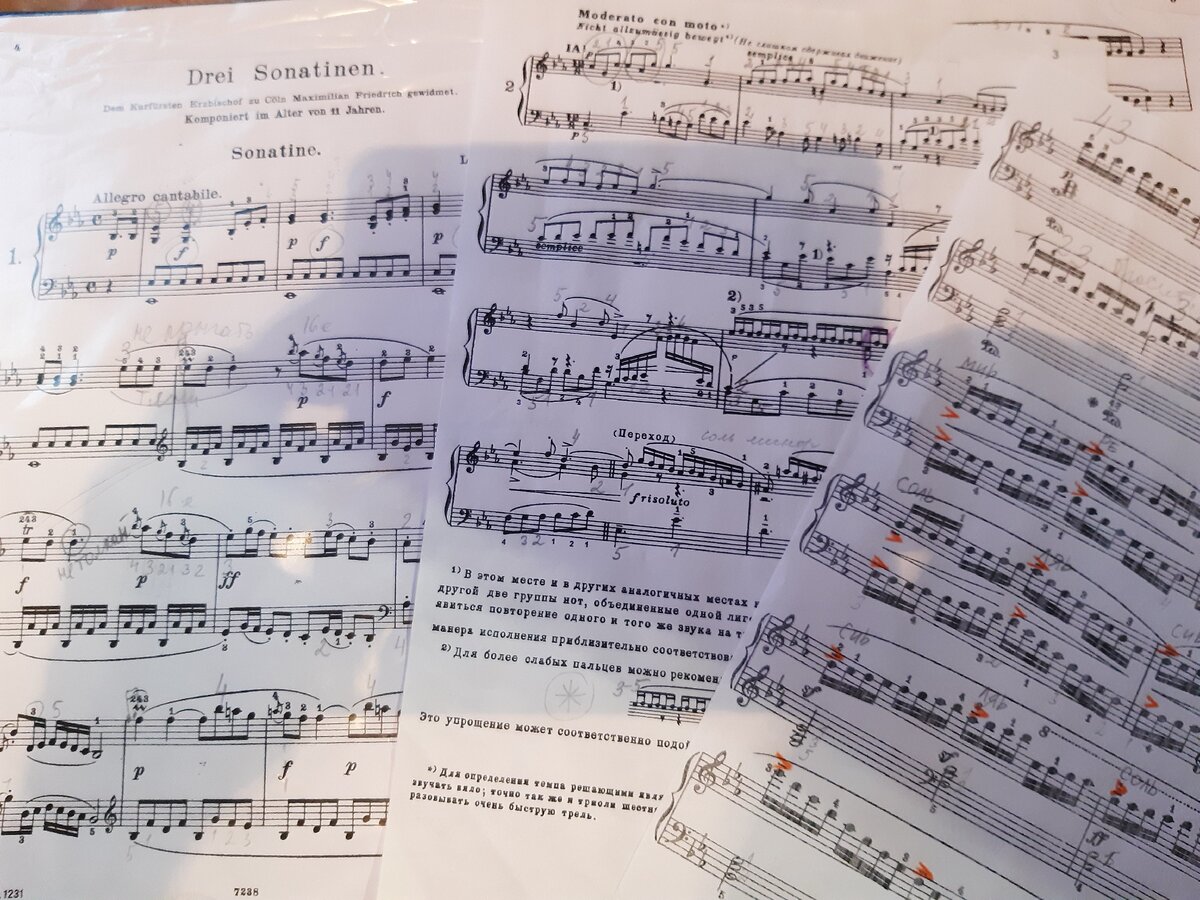 В классе фортепиано, "предпроф". Сонатина Бетховена, трёхголосная инвенция Баха, всем известный "Черни-Гермер". Моя десятилетняя дочь проходит свой тернистый путь, но итог обычно выглядит крайне достойно. Впереди переводной экзамен - а значит, ещё два месяца режимной пашни