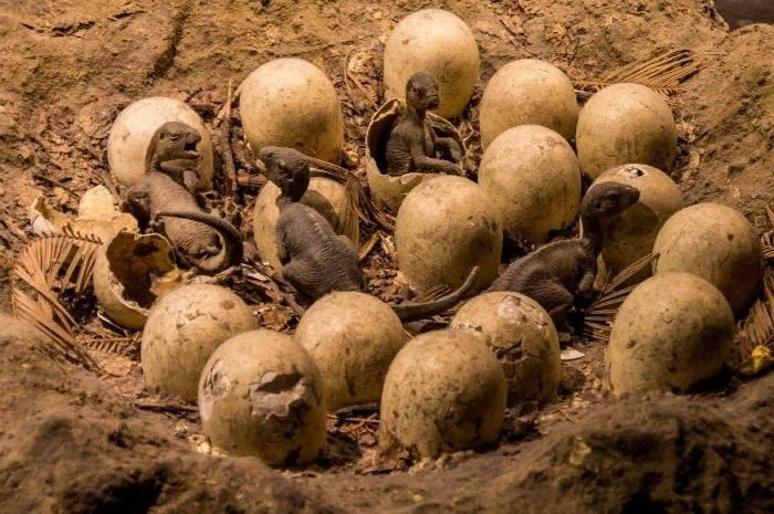 Чтобы детеныши динозавров вылупились из яиц могло потребоваться до полугода высиживания.