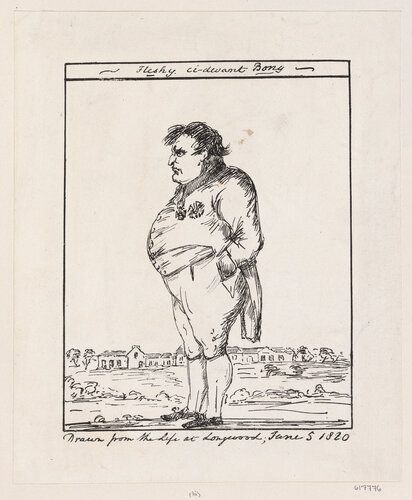 “Мясистый ci-devant Boney” (Наполеон в изгнании на Святой Елене). Любезно предоставлено Королевским коллекционным трестом.