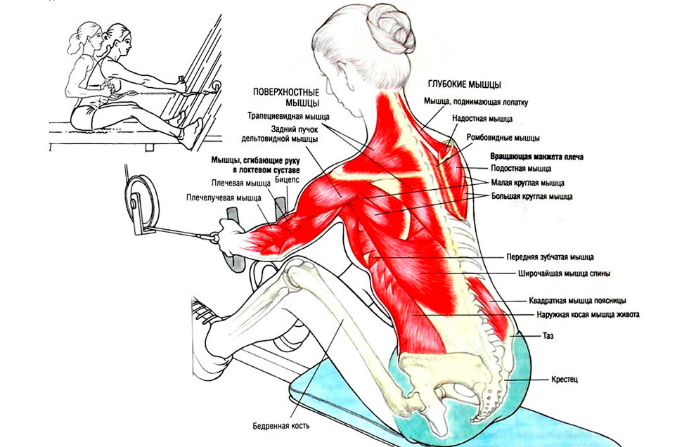 Упражнения при гиперлордозе поясничного отдела по бубновскому. Упражнения на спину. Периартрит плечелопаточный лечебная физкультура. Упражнения при дорсопатии пояснично-крестцового отдела позвоночника. Упражнения при плечи лопаточной периартрит.