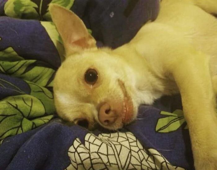 фото из личного архива