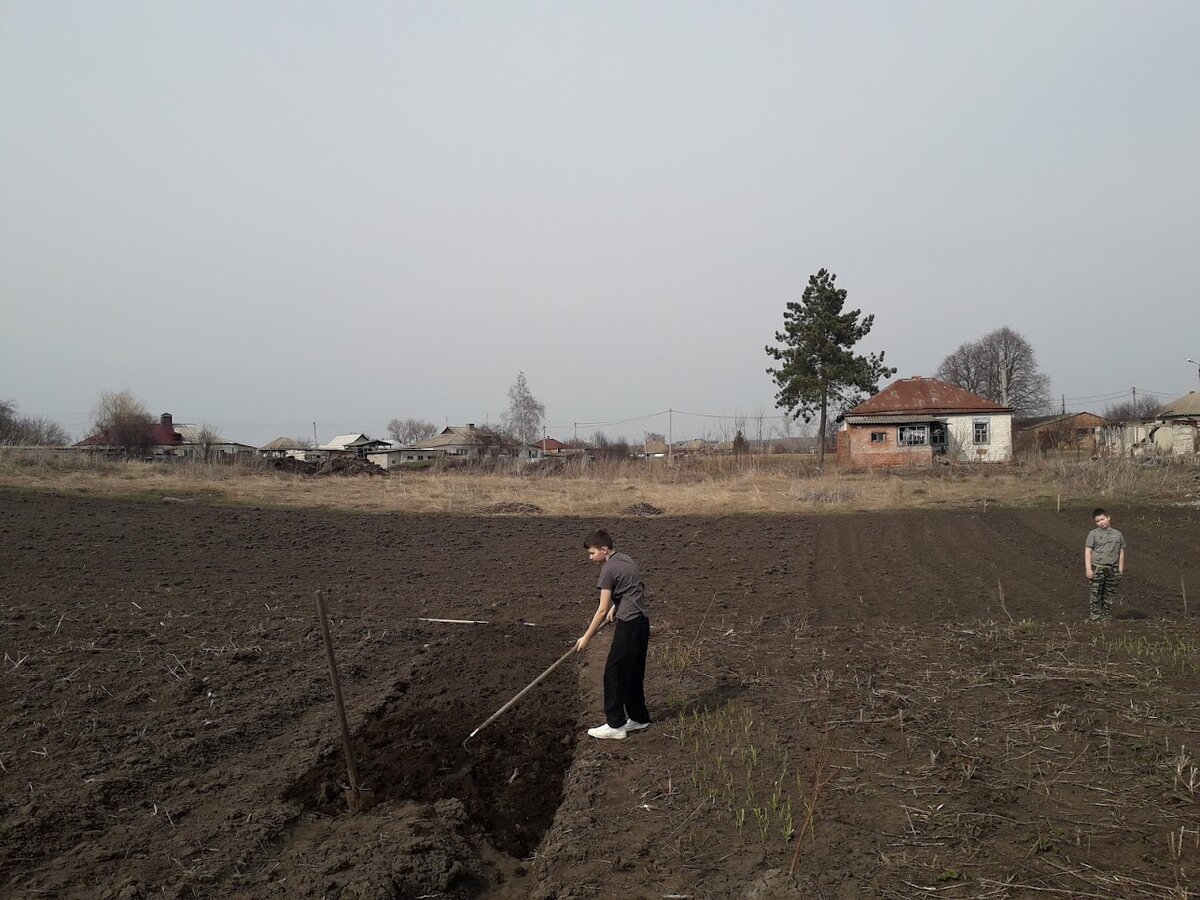 Вот так мы начали наши работы на огороде
