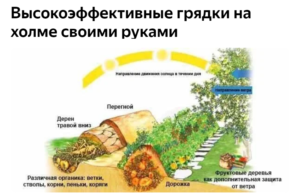 Личное подсобное хозяйство как бизнес-идея