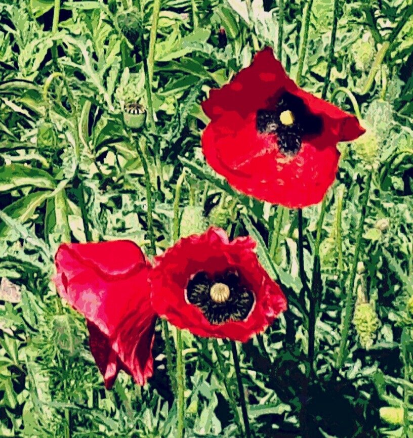 Лето. Фотография из личного архива автора 